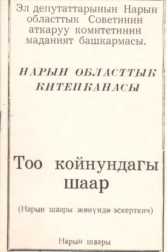 Тоо койнундагы шаар
